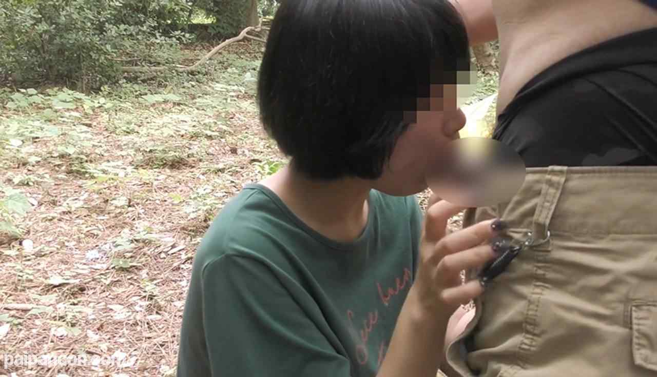 FC2-PPV-1455440 - 【人間失格】野外鬼畜露出調教！これがガリ勉真面目っこの悲惨な末路。料金所、歩道橋、公園で女汁垂れ流し。青姦生セックスの快感に精神崩壊 thumbnail_3.jpg