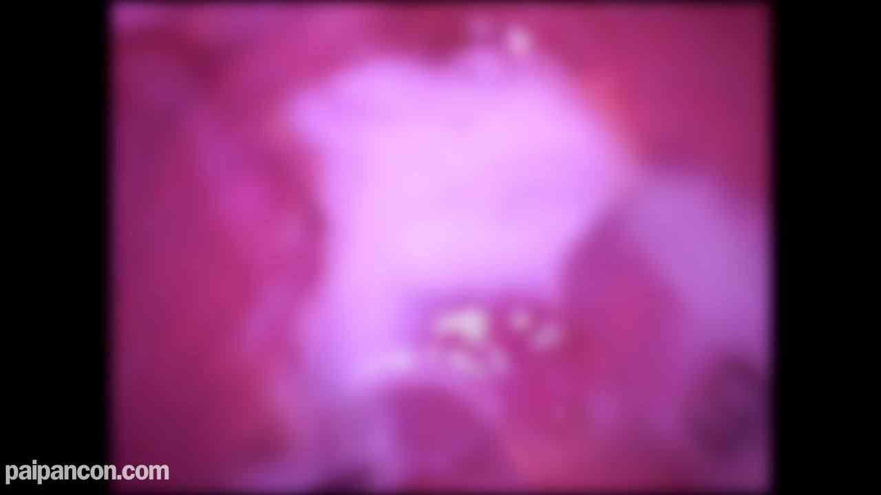 FC2-PPV-4592208 - ★特典で無修正と膣内カメラ ♀123 ちょーかわいい19歳 雪のように透き通った顔・お肌 原石おなごに心の中でがっつぽーず！ちんこもがっつぽーずでぎんぎん！おっさんのくさいザーメンをたっぷり中だし♡ thumbnail_9.jpg