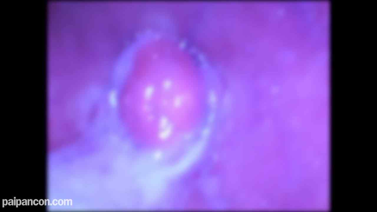 FC2-PPV-4653783 - ★特典で無修正と膣内カメラ ♀143 めがねっこ あんなちゃんの透き通る白いBODYにたっぷり中だし♡ めがねっこもかわいくていいもんですなあ thumbnail_9.jpg